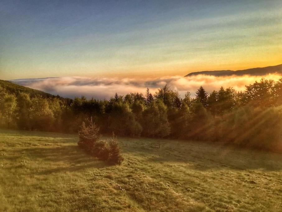 Domek Gorski Na Polanie Goryczkowej 700 M Npm - Szczyrk Dojazd Samochodem Terenowym, W Zimie Utrudniony - Wymagane Lancuchy Dış mekan fotoğraf