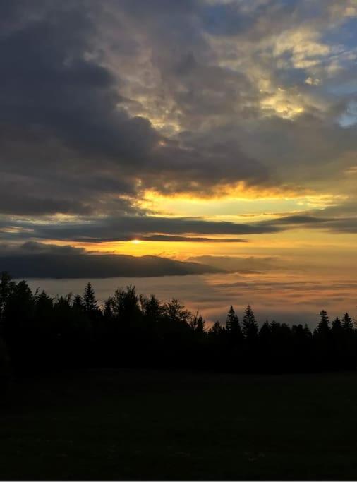 Domek Gorski Na Polanie Goryczkowej 700 M Npm - Szczyrk Dojazd Samochodem Terenowym, W Zimie Utrudniony - Wymagane Lancuchy Dış mekan fotoğraf