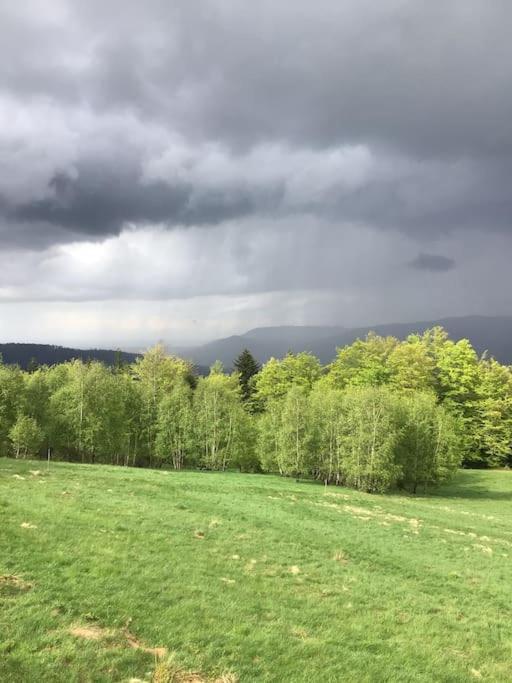 Domek Gorski Na Polanie Goryczkowej 700 M Npm - Szczyrk Dojazd Samochodem Terenowym, W Zimie Utrudniony - Wymagane Lancuchy Dış mekan fotoğraf